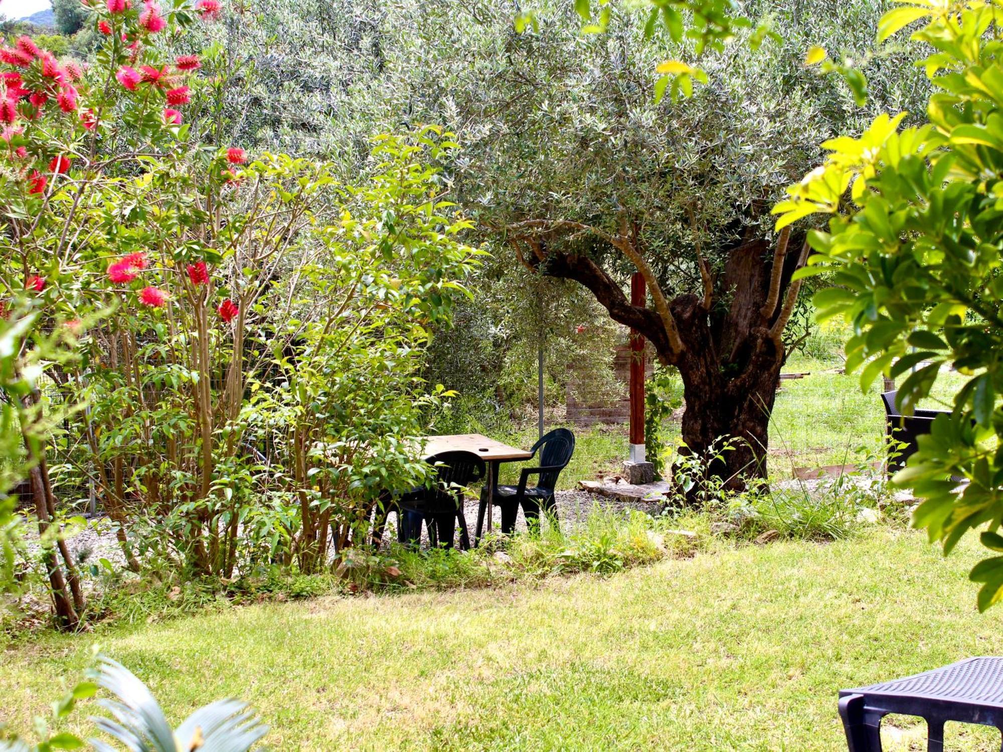 Villa Pelau - Holiday Home Jerzu Exterior photo